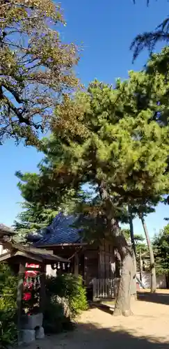 胡録神社の自然