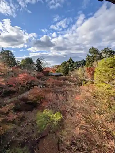 東福禅寺（東福寺）の自然