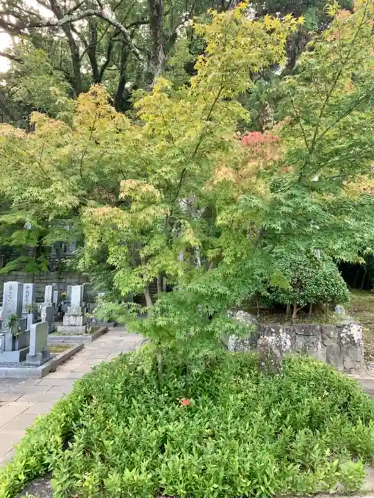 伊勢の国 四天王寺の自然