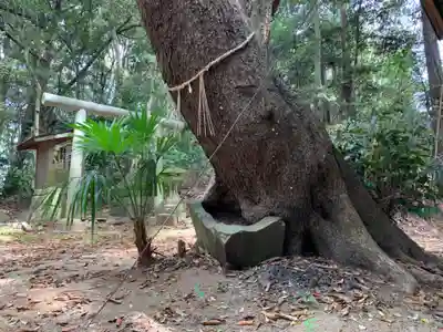 須賀神社(千葉県)