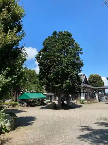 観音寺の庭園