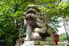 神炊館神社 ⁂奥州須賀川総鎮守⁂の狛犬