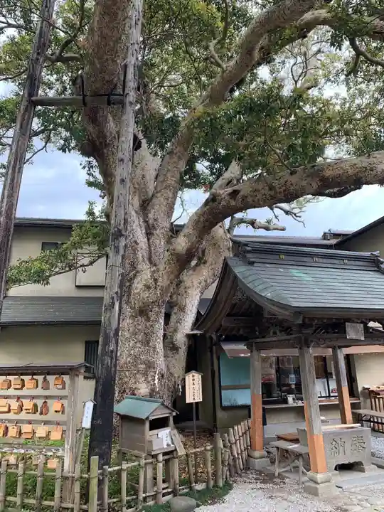 御霊神社(神奈川県)