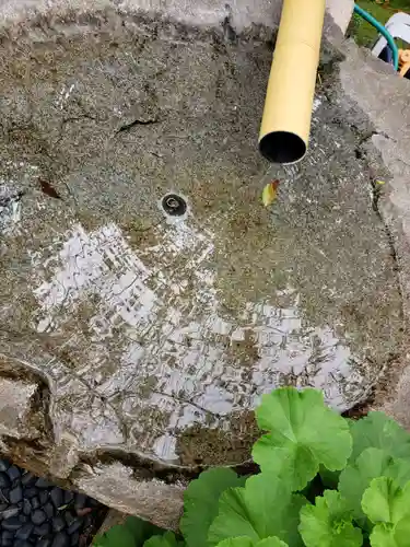 玄国寺の手水舎