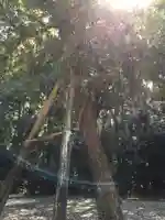 神麻続機殿神社(皇大神宮所管社)の自然