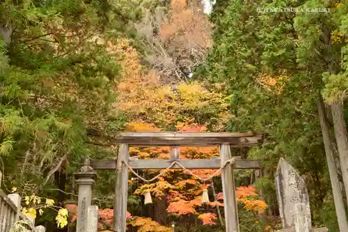 戸隠神社宝光社の鳥居