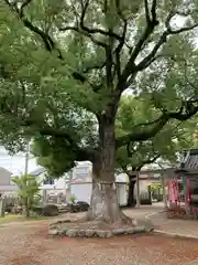 止止呂支比売命神社(大阪府)