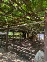 太巌寺(ふじの寺)(三重県)