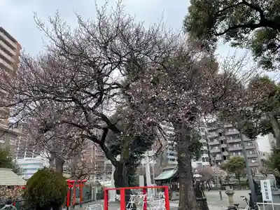 町田天満宮(東京都)