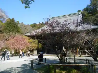 妙本寺の本殿・本堂