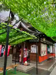 露天神社（お初天神）(大阪府)