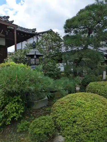 蓮光寺(京都府)