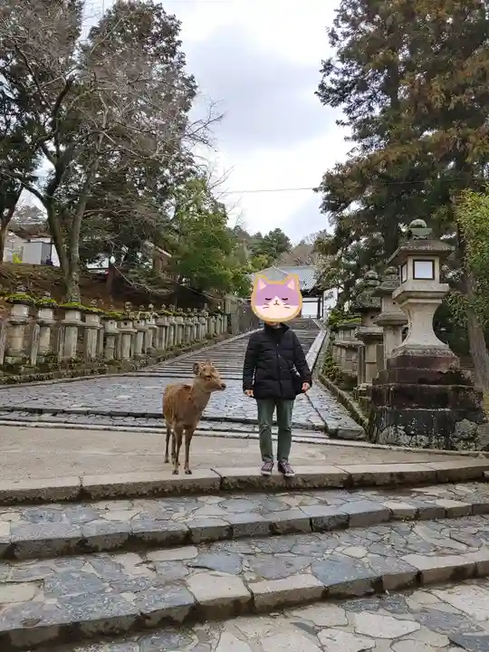 東大寺 二月堂(奈良県)