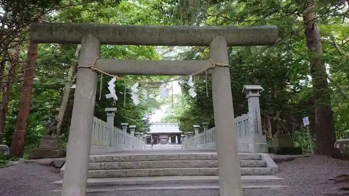 千歳神社の鳥居
