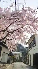 大豊神社の自然