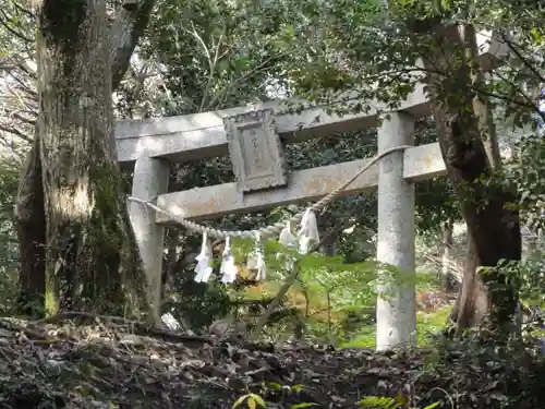 白山多賀神社の鳥居