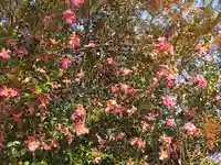 重利八幡宮(京都府)