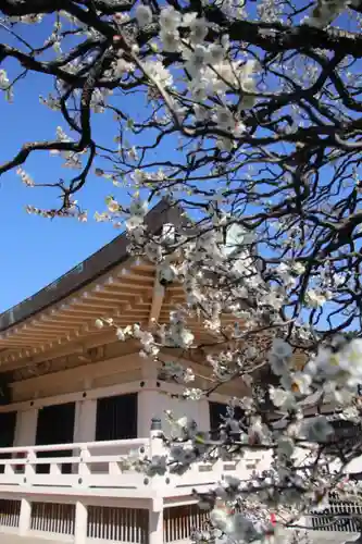 豪徳寺のその他建物