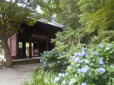 妙本寺の山門・神門