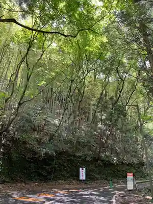 鰐淵寺(島根県)
