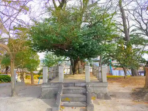 榎前八劔神社の自然