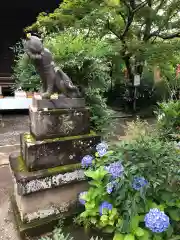 多聞院の狛犬