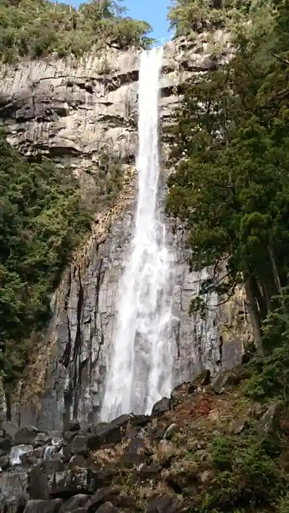 飛瀧神社(熊野那智大社別宮)の自然