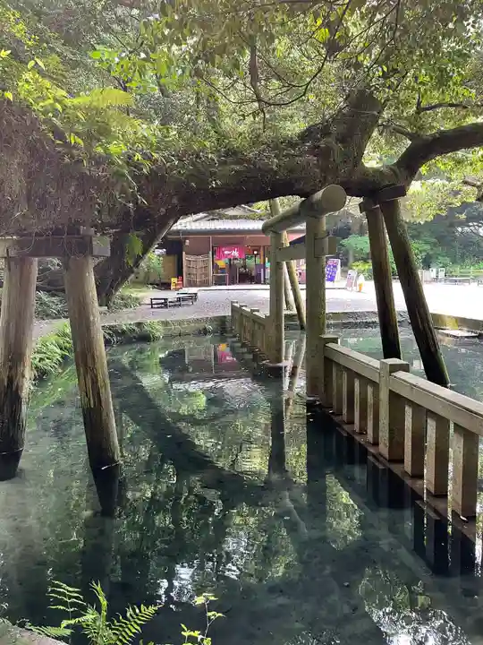 鹿島神宮(茨城県)
