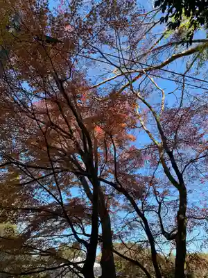 弥喜用神社の自然