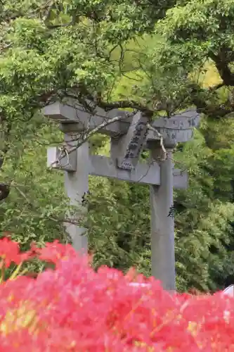 葛城一言主神社の鳥居