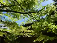 滑川神社 - 仕事と子どもの守り神(福島県)