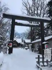 旭川神社の鳥居