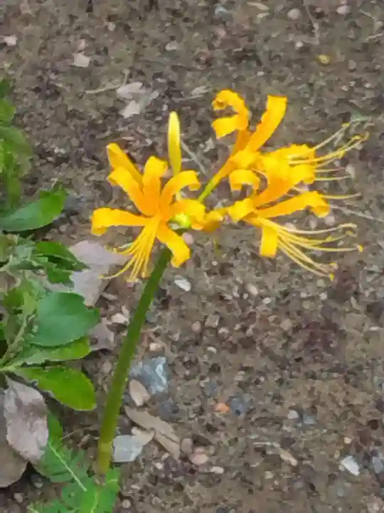 横浜 西方寺(神奈川県)