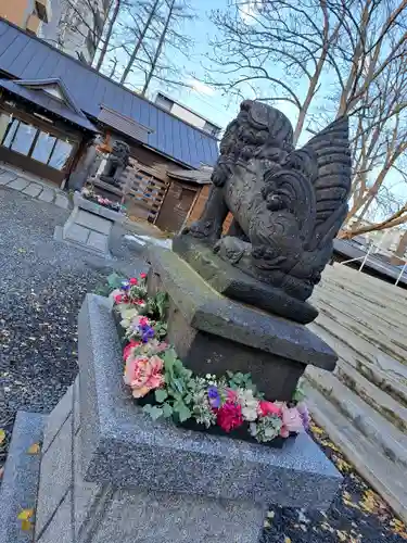 札幌諏訪神社の狛犬