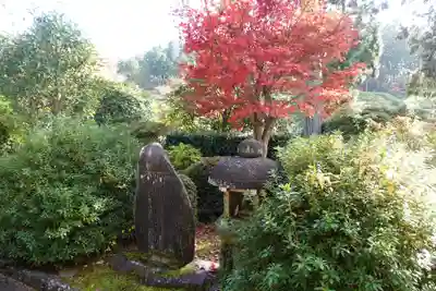 三室戸寺(京都府)