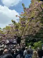 東京大神宮(東京都)