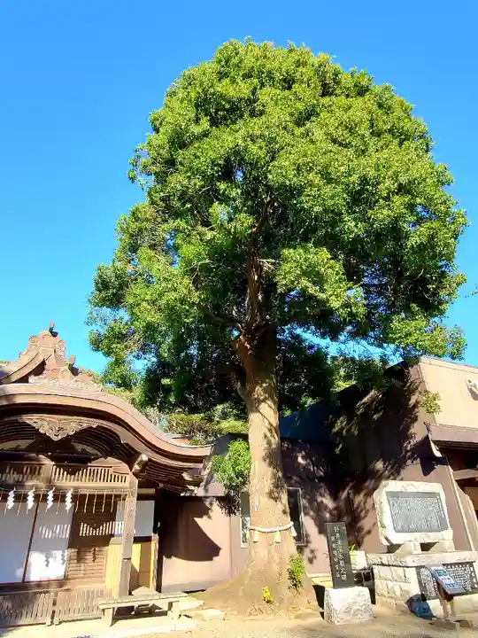 酒列磯前神社のその他建物