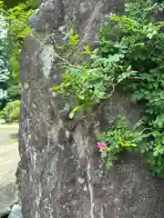 無量寿寺(茨城県)