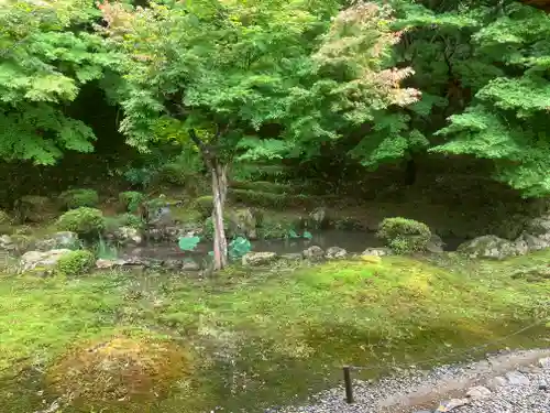 常高寺(福井県)
