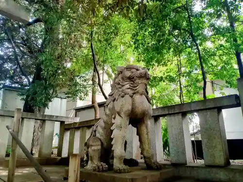 渋谷氷川神社の狛犬