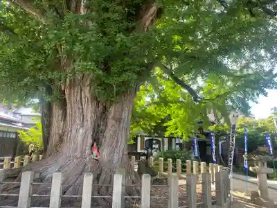 飛騨国分寺(岐阜県)