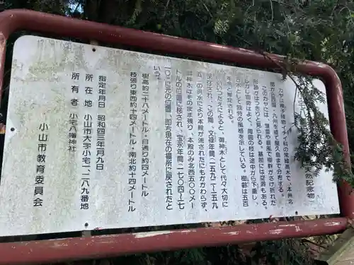 小宅八幡神社(栃木県)