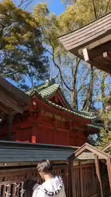 川越氷川神社(埼玉県)