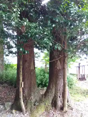 乗政八幡神社(岐阜県)