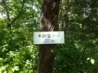 浅間神社の自然