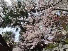 阿部野神社(大阪府)