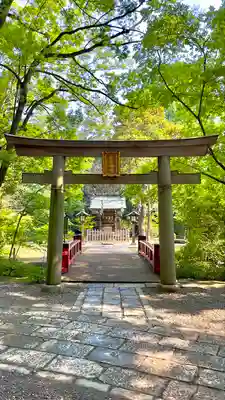 武蔵一宮氷川神社の鳥居