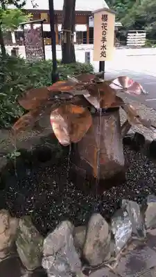 櫻木神社の手水舎