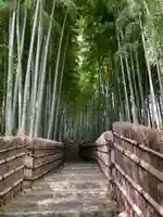 化野念仏寺(京都府)
