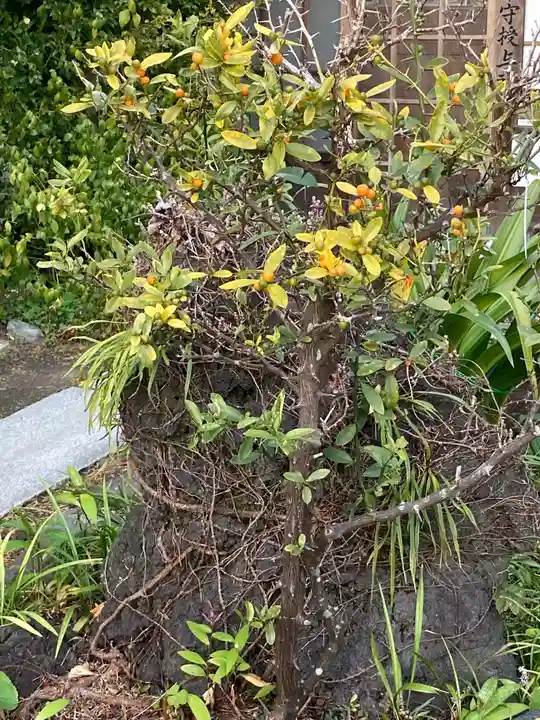 大巧寺(神奈川県)